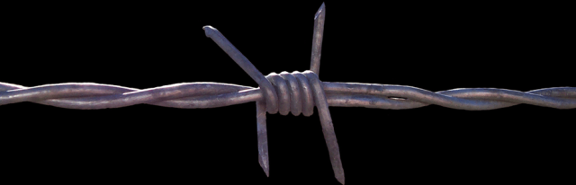 barbed wire