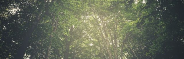 age discrimination age discrimination employment law